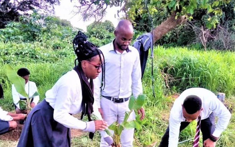 banana-planting